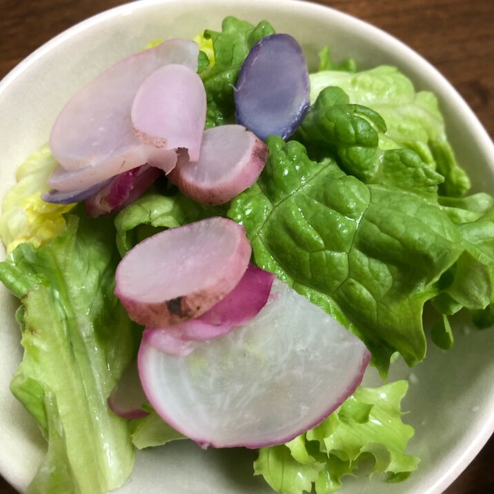 子どもも食べられる 赤かぶのサラダ レシピ 作り方 By にゃーご30 楽天レシピ